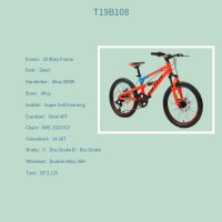 OEM 20" MTB Bike Orange Alloy Frame Mountain Bicycle 14-28T Freewheel