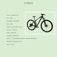 OEM 29" MTB Bike Black Alloy Frame Mountain Bicycle Double-Alloy 32H Wheelset