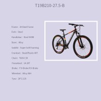 OEM 20" MTB Bike Black With Orange Steel Frame Mountain Bicycle 14-28T Freewheel