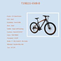 OEM 26" MTB Bike Black With Orange Steel Frame Mountain Bicycle 14-28T Freewheel